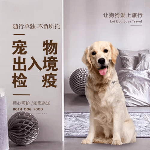 赣州市宠物托运到哥伦比亚猫狗宠物入境规定和