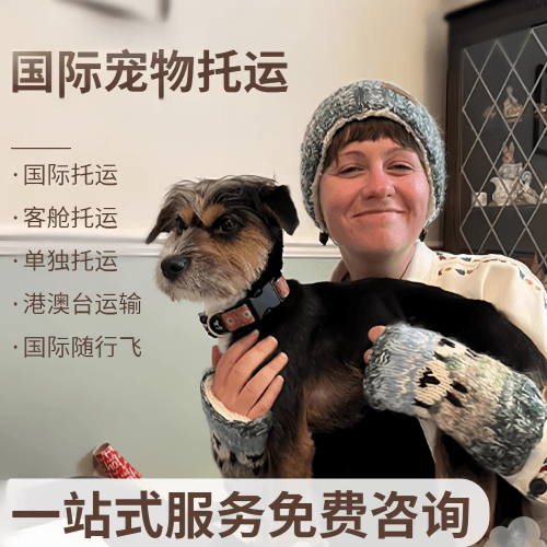 赣州市国际宠物托运到阿根廷宠物入境规定和要