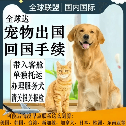 赣州市宠物托运到柬埔寨宠物入境规定和要求