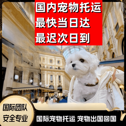 赣州市到澳大利亚（澳洲）宠物入境规定和要求
