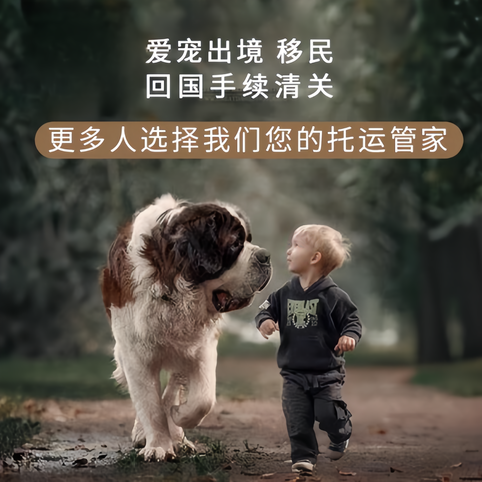 满财赣州市宠物全球达宠物托运在遵守入境目的地政策的条件