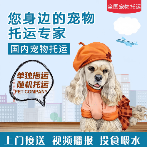 满财赣州市宠物全球达宠物托运作为专业的宠物运输代理机构